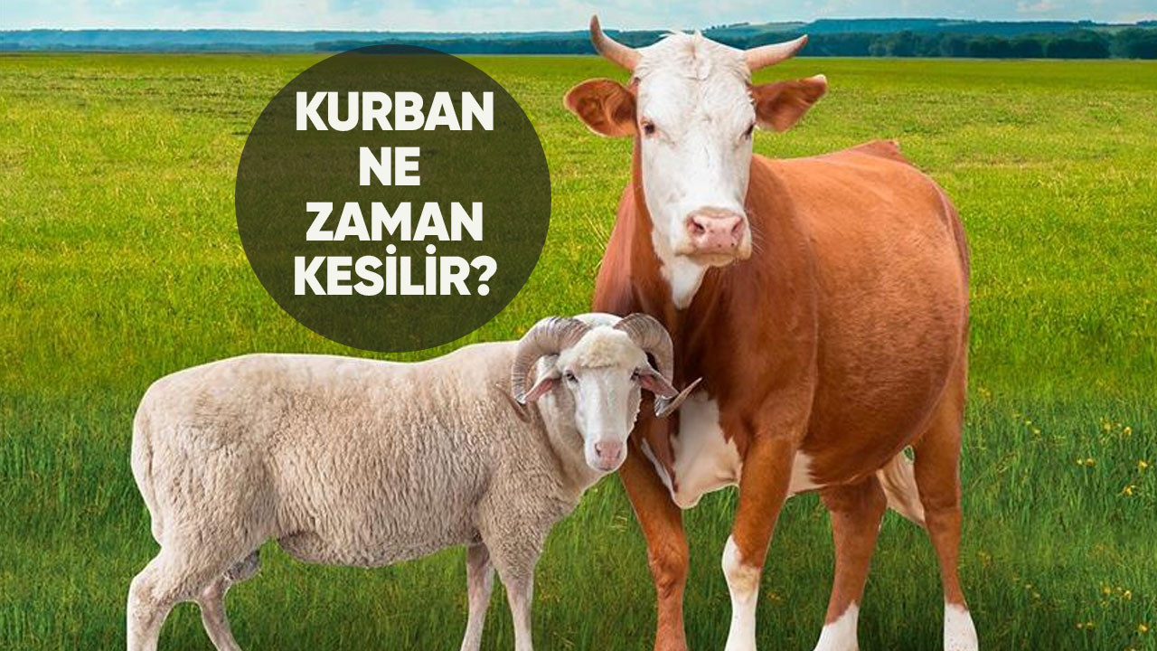 Kurban kesim vakti ne zaman başlar, ne zaman biter? Kurban ne zaman kesilir?