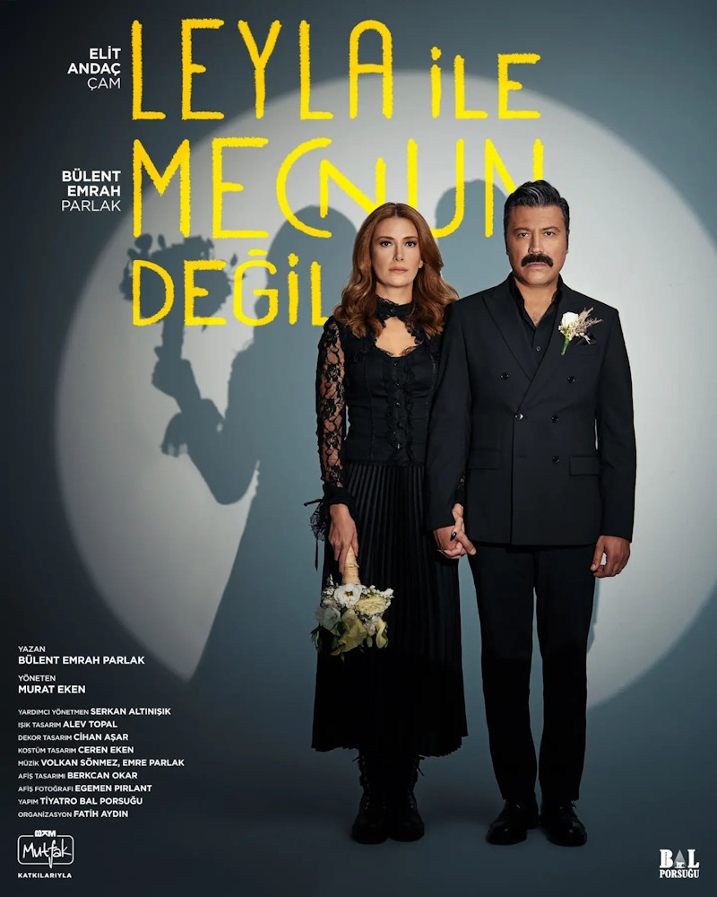 Elit andaç çam oynadığı diziler